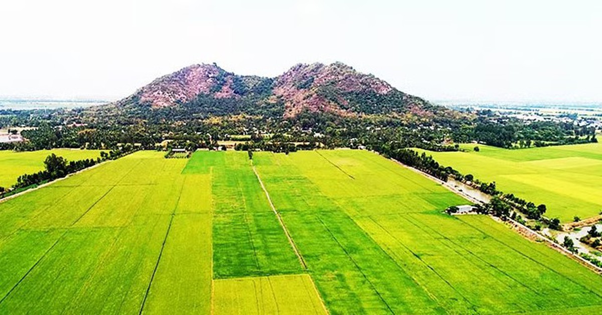 Ngôi làng ở VN mưa xuống có lúc nhặt được vàng: Khai quật hơn 100 cổ vật, 19 món thành bảo vật quốc gia