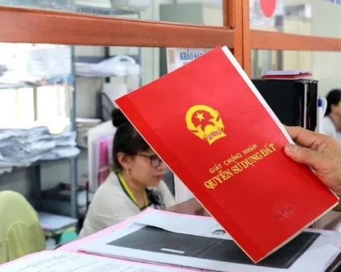 Số lượng sổ đỏ cấp lần đầu ở TPHCM giảm mạnh