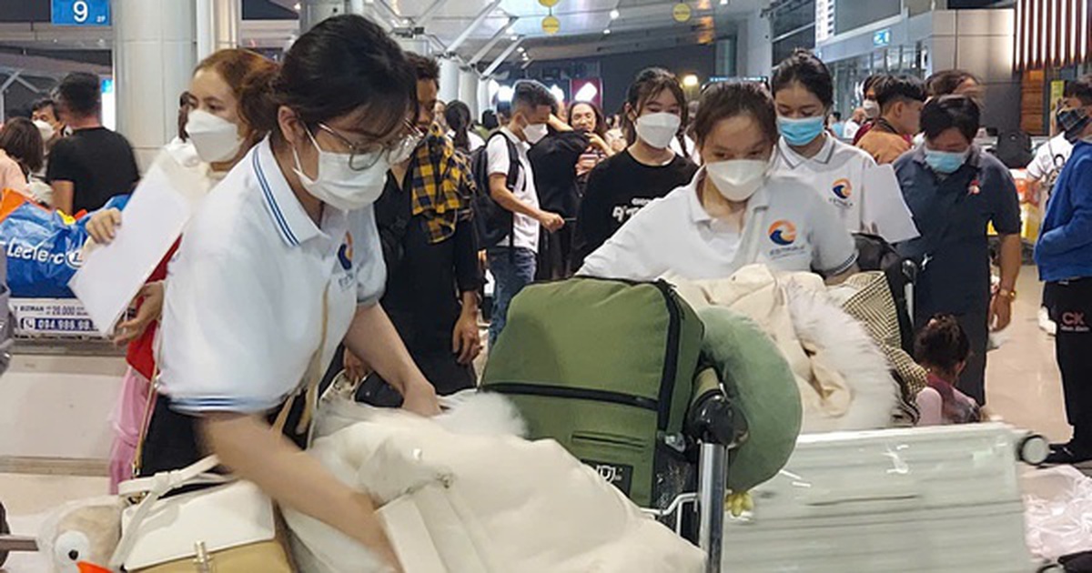 Vì sao lừa đảo đưa người lao động đi làm việc ở nước ngoài trái phép vẫn diễn biến phức tạp?