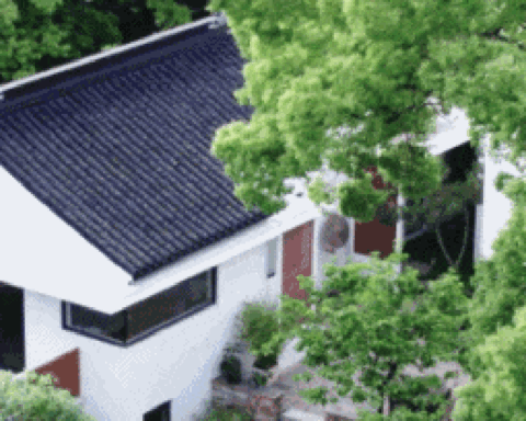 Vợ chồng giáo viên về quê xây nhà 1.000m² thành nơi chung sống 3 thế hệ: Mẹ chồng ban đầu phản đối cuối cùng lại hài lòng nhất