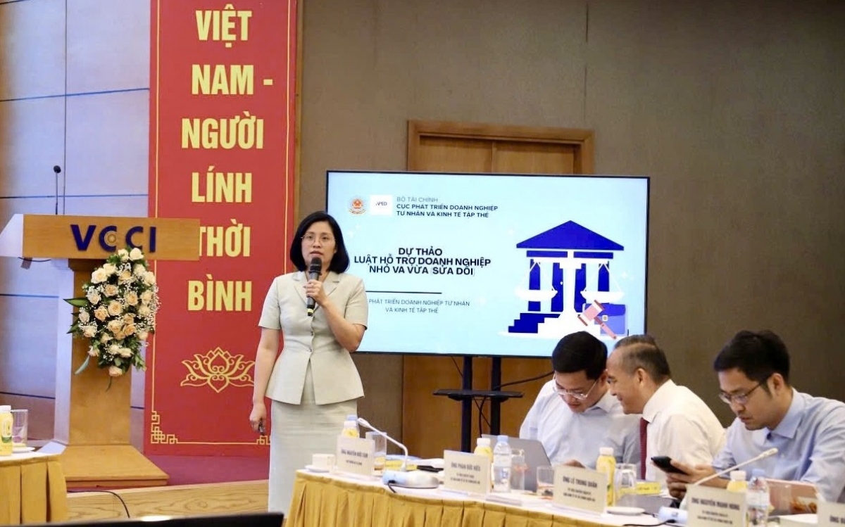 Dự thảo Luật Hỗ trợ DNNVV: Mở rộng dư địa phát triển cho doanh nghiệp tư nhân