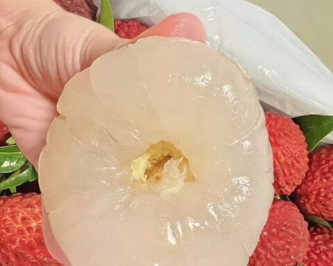 Người đàn ông suýt chết vì kiểu ăn vải ai nghe cũng tưởng… vô hại