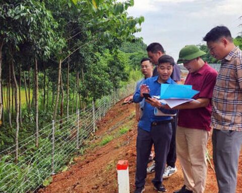 Khẩn trương giải phóng mặt bằng Dự án đường sắt Lào Cai – Hà Nội – Hải Phòng