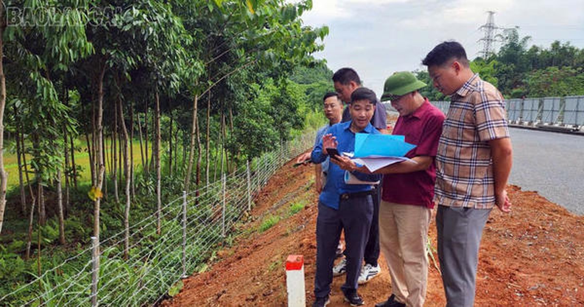 Khẩn trương giải phóng mặt bằng Dự án đường sắt Lào Cai – Hà Nội – Hải Phòng