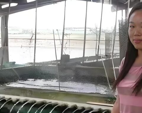 Phát hiện nữ sinh ĐH top đầu bỏ học để nuôi cá trả nợ 166,7 tỷ cho gia đình, sau này 1 con cá bán được hơn 33 tỷ