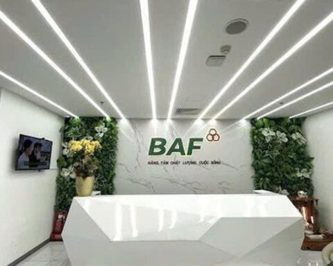 Baf Việt Nam ‘rót’ 810 tỷ đồng thành lập 4 công ty con tại Hà Nội