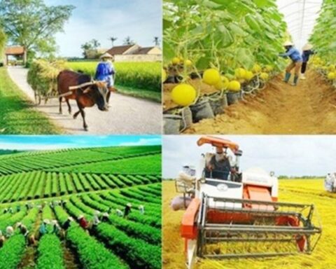 Thống nhất quản lý kinh phí chi thường xuyên thực hiện các chương trình mục tiêu quốc gia