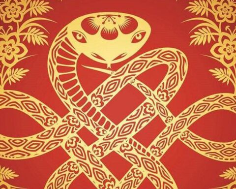 Chuyên gia phong thủy cho biết: Đến tuổi nghỉ hưu mới lộ rõ khoảng cách, 5 con giáp thường không giàu sớm nhưng lại sở hữu nhiều tài sản nhất về sau
