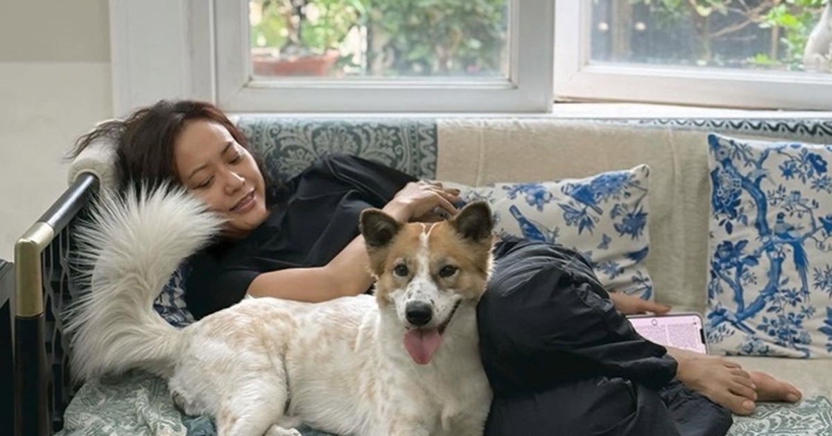 Nữ nghệ sĩ đình đám cưới doanh nhân có con riêng: 17 năm không sinh con, chồng chăm sóc khi bị bệnh