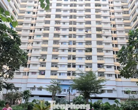 Vay tiền làm nhà cho thuê, nhà đầu tư lo lỗ nặng