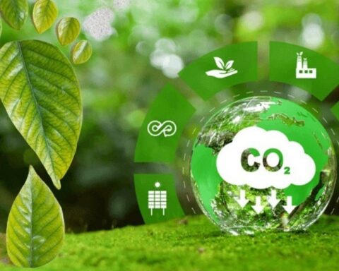 Chứng khoán VietinBank được VSDC và VNX chấp thuận tham gia hệ thống giao dịch carbon, đón đầu thị trường tài chính xanh