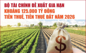 Infographics: Bộ Tài chính đề xuất gia hạn khoảng 125.000 tỷ đồng tiền thuế, tiền thuê đất năm 2026