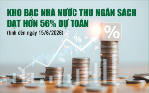 Infographics: Kho bạc Nhà nước thu ngân sách đạt 1.425.563 tỷ đồng