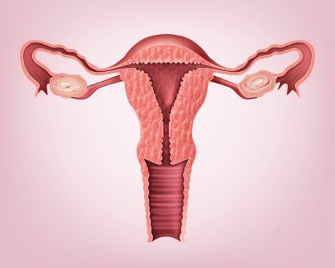 5 điều chưa biết về buồng trứng của phụ nữ