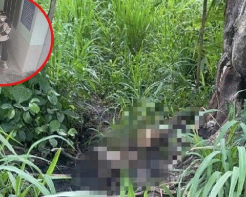 Vụ phát hiện bộ xương trong Khu đô thị ở TP.HCM: Nghi là MC 34 tuổi mất tích nhiều ngày