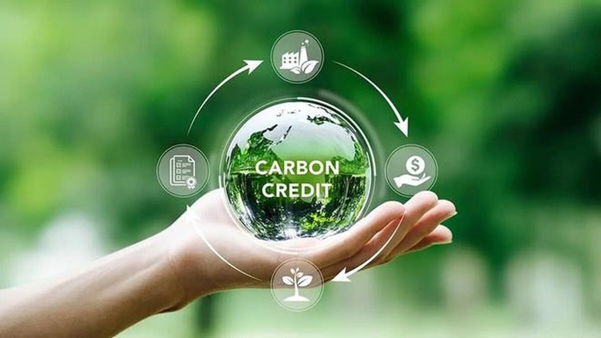 Chuẩn bị vận hành chính thức sàn giao dịch các-bon trong nước