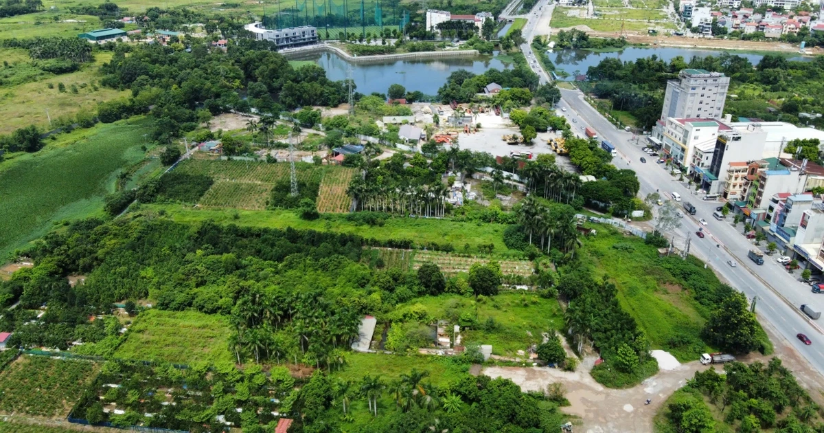Đất nằm trong nhiều quy hoạch, căn cứ nào để chuyển mục đích sử dụng?