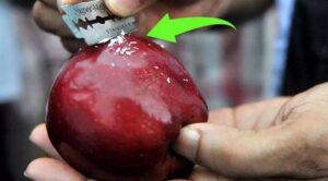 Bị gắn mác gây ung thư: 3 loại trái cây này thực sự nguy hiểm hay chỉ là hiểu nhầm?