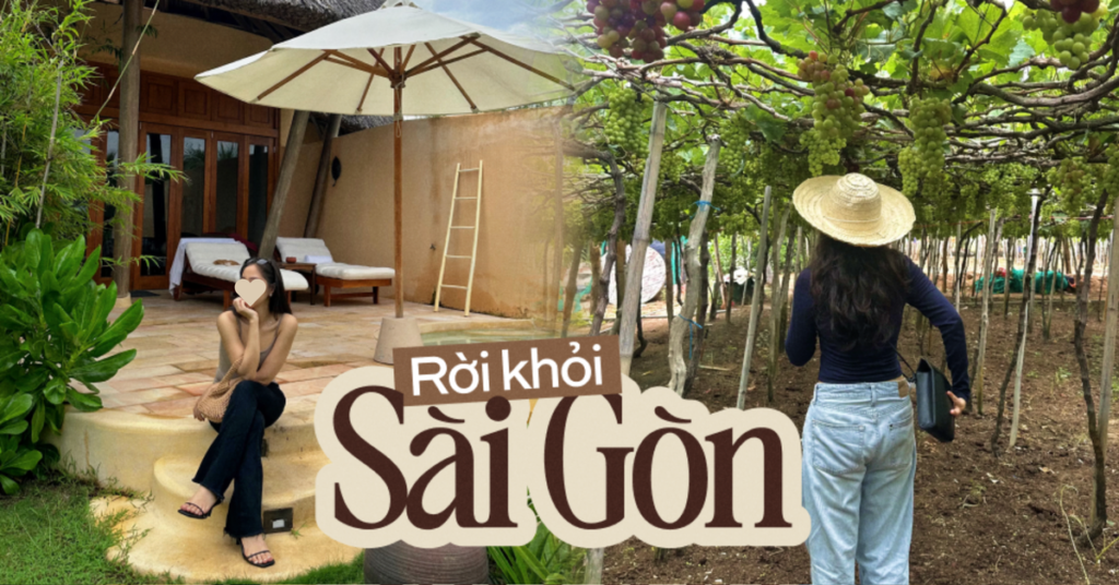 Rời Sài Gòn về Nha Trang, dù không thất nghiệp