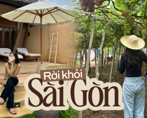 Rời Sài Gòn về Nha Trang, dù không thất nghiệp