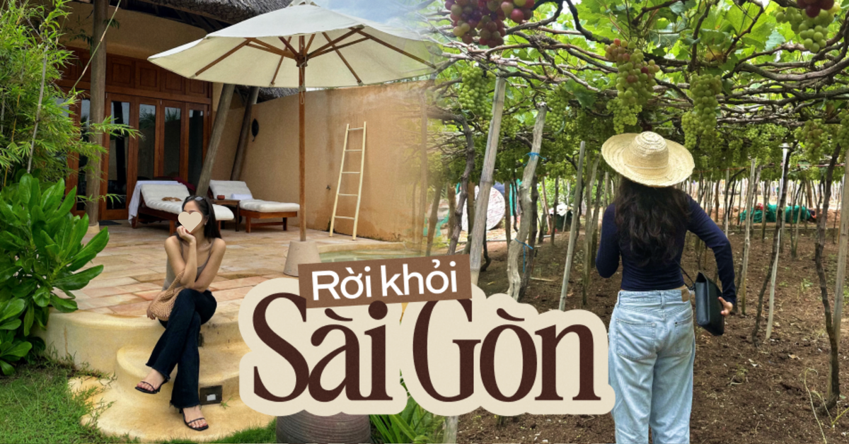 Rời Sài Gòn về Nha Trang, dù không thất nghiệp