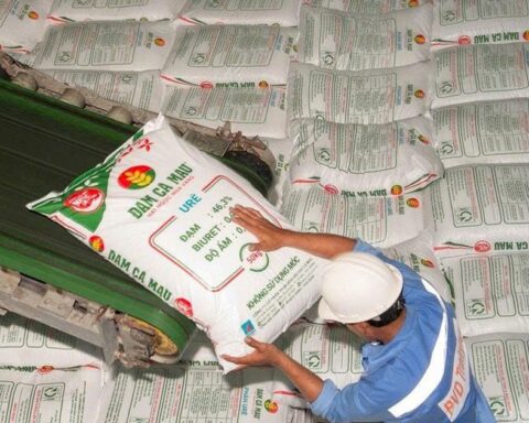 Đạm Cà Mau chốt chi hơn 1.000 tỷ đồng trả cổ tức trong tháng 7