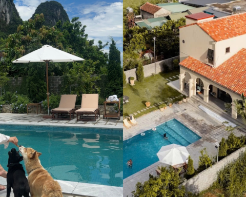 Bên trong “second home” phủ kín cây ăn trái, nằm giữa thung lũng cách Hà Nội 40km của cô chủ tiệm hoa