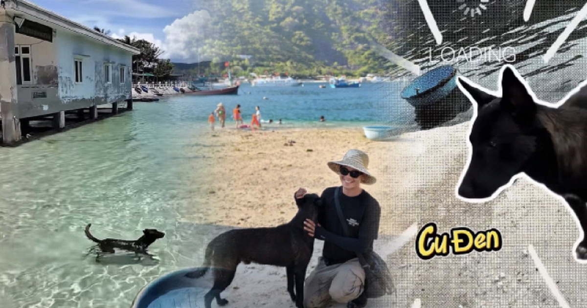 Có một “nhân viên” ai đến đảo Bích Đầm cũng muốn gặp: Da rám nắng, ngày nào cũng đi tuần bãi biển