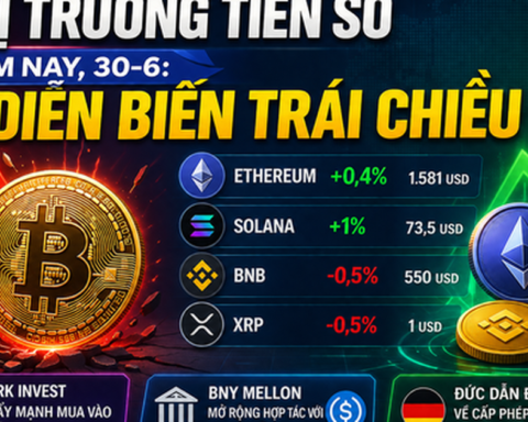 Thị trường tiền số hôm nay, 30-6: Diễn biến trái chiều
