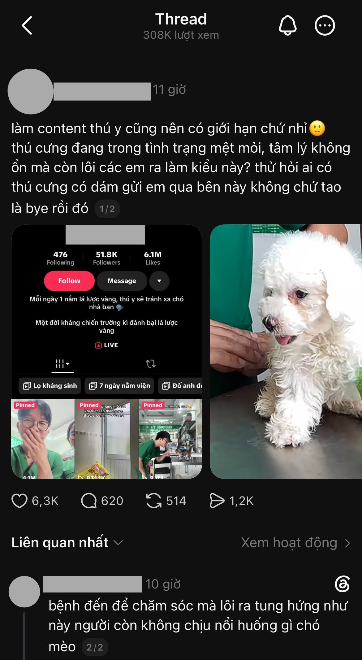 Bác sĩ thú y ở TP.HCM bị chỉ trích khi giày vò chó mèo ở phòng khám, càng lên tiếng càng gây phẫn nộ - Ảnh 1.