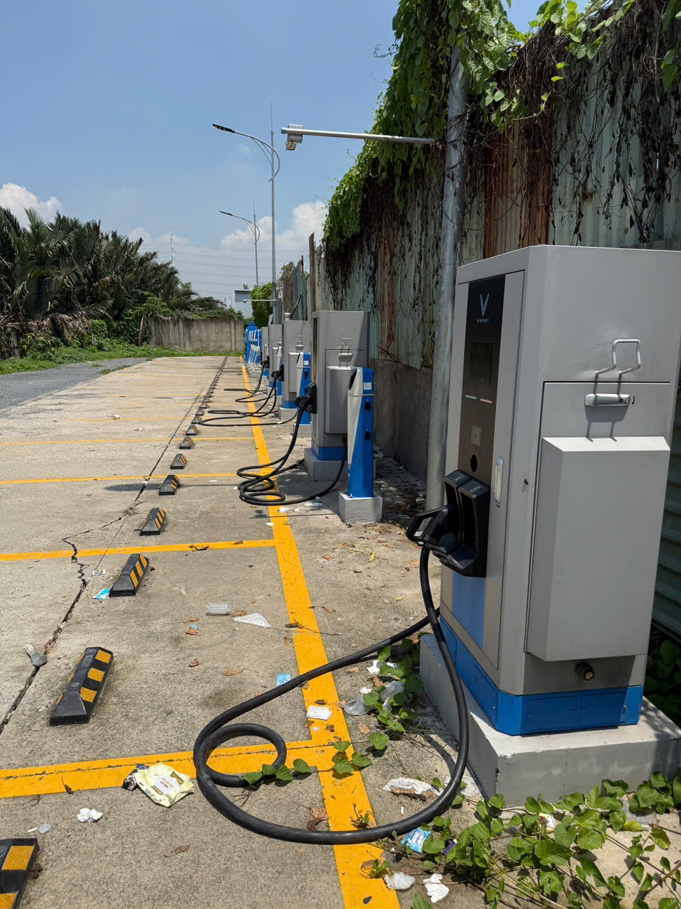 Bắt giữ Hồ Cầm và Trương Quốc Huy sau tin báo của công ty tỷ phú- Ảnh 1.