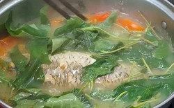 KHÔNG PHẢI cá thu hay cá hồi, mùa hè có 1 loại cá được ví như "thuốc cường phổi" của người Việt - Ảnh 2.