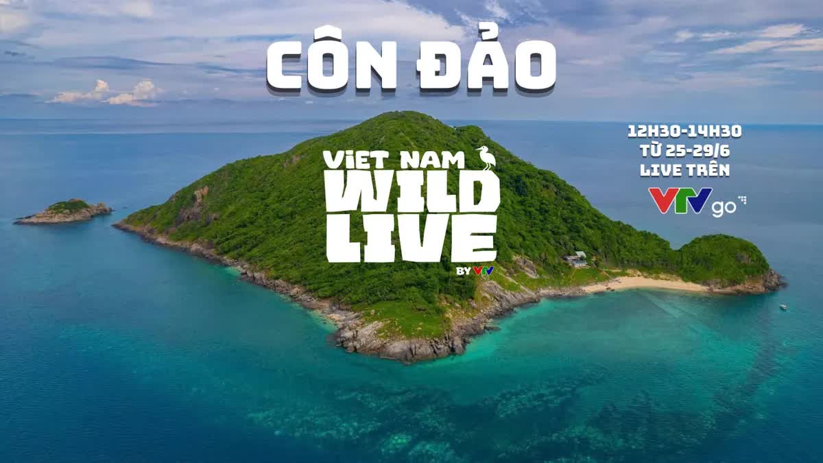 Lần đầu tiên: Toàn bộ người dân Việt Nam được trải nghiệm miễn phí 1 thứ - Ảnh 1.