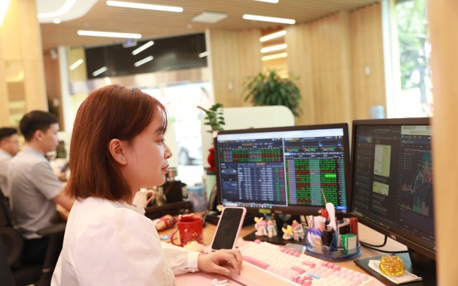 hoạt động của công công ty chứng khoán Bảo Việt