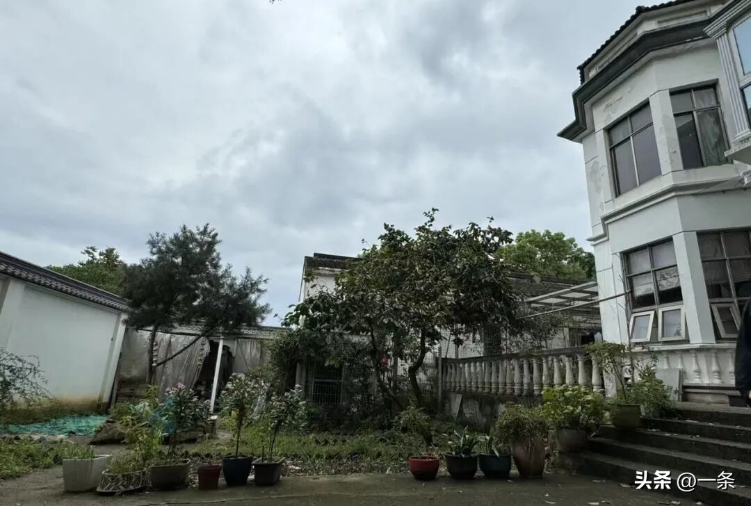 Vợ chồng giáo viên về quê xây nhà 1.000m² thành nơi chung sống 3 thế hệ: Mẹ chồng ban đầu phản đối cuối cùng lại hài lòng nhất- Ảnh 1.