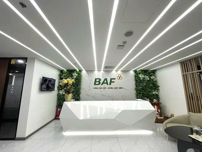 Baf Việt Nam ‘rót’ 810 tỷ đồng thành lập 4 công ty con tại Hà Nội - Ảnh 1.