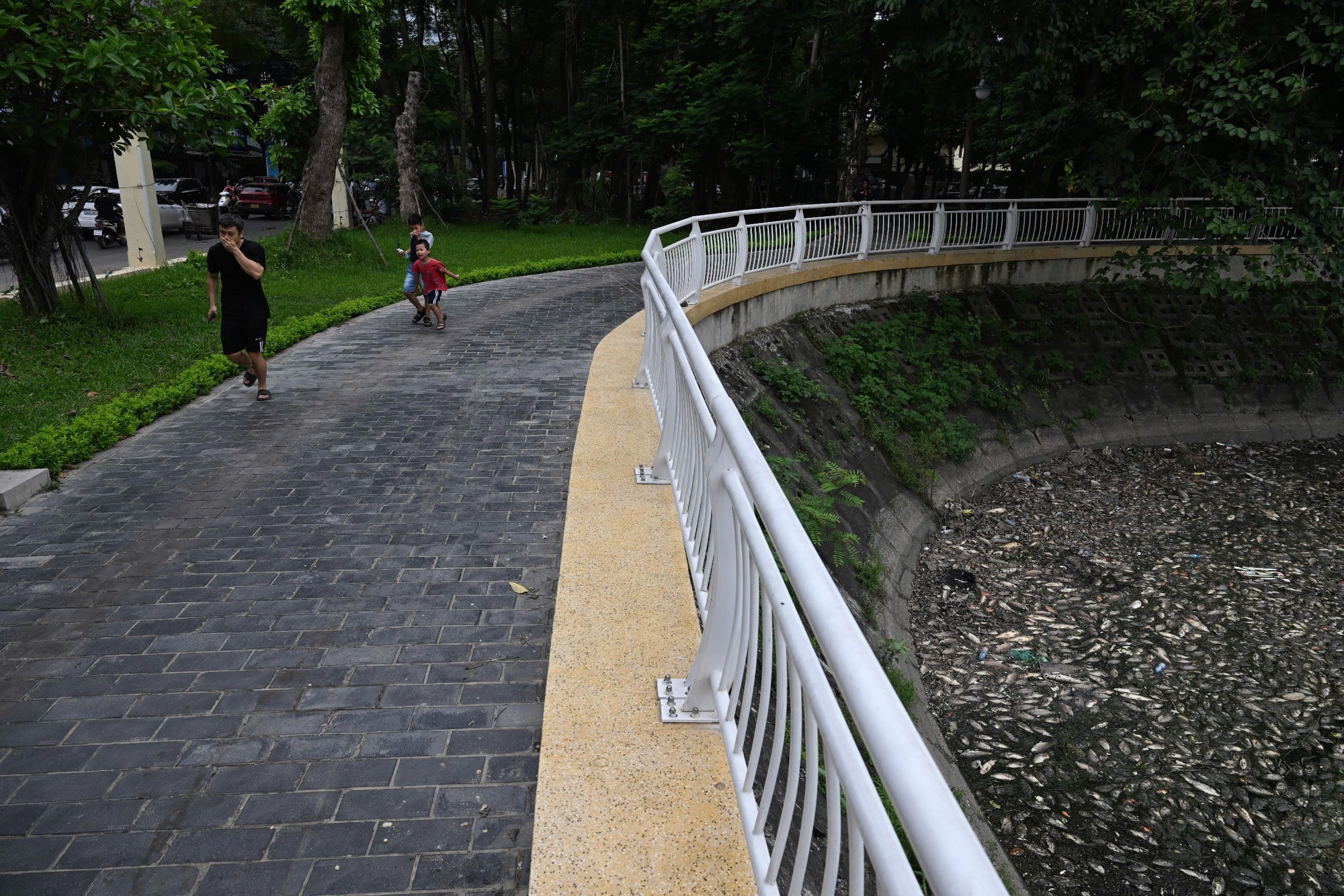 Hà Nội: Cá chết trắng hồ Nghĩa Đô, cảnh tượng bất thường Hà Nội: Cá chết trắng hồ Nghĩa Đô, cảnh tượng bất thường