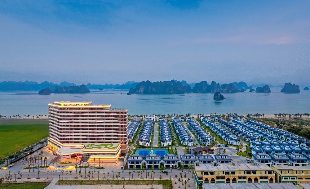 CEO Group chốt ngày phát hành hơn 28 triệu cổ phiếu trả cổ tức - Ảnh 1.