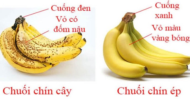 Bị gắn mác gây ung thư: 3 loại trái cây này thực sự nguy hiểm hay chỉ là hiểu nhầm?- Ảnh 1.