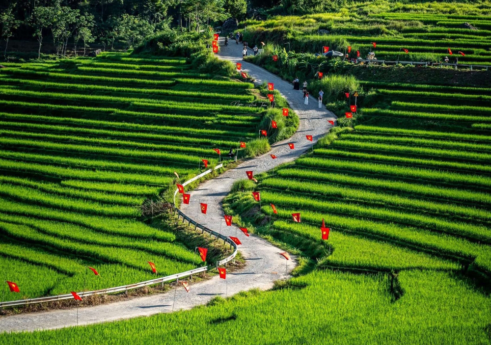 Khách Tây dậy từ 4 giờ sáng, sững sờ phát hiện Phú Quốc cất giấu một thứ mà đi khắp thế giới chưa từng gặp- Ảnh 7.