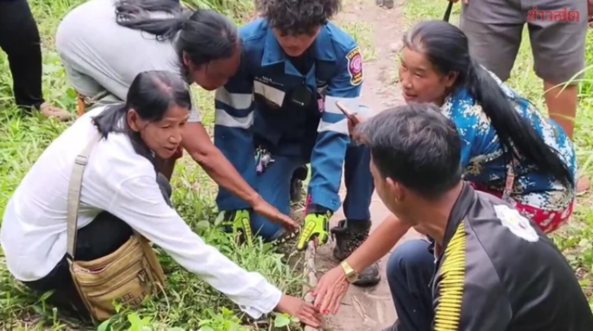 Đang đi dạo gặp cảnh "nổi da gà", người phụ nữ lập tức hô hoán người tới xem - Ảnh 1.
