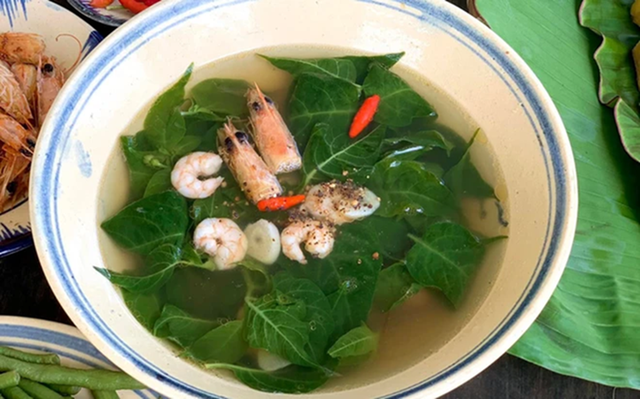 Đừng chỉ ăn quả, lá loại cây này quý như "nhân sâm người nghèo", mọc đầy ở quê nhưng ít ai biết- Ảnh 3.