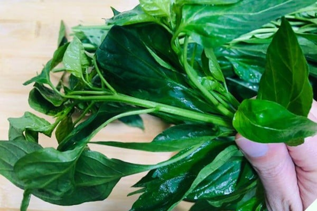 Đừng chỉ ăn quả, lá loại cây này quý như "nhân sâm người nghèo", mọc đầy ở quê nhưng ít ai biết- Ảnh 2.