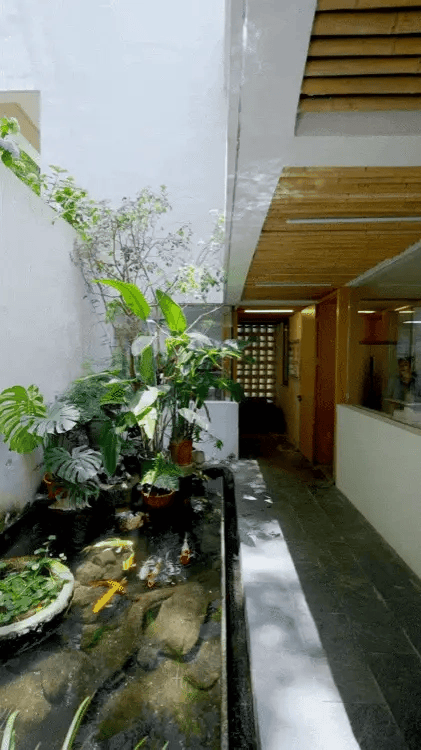 Chàng trai 30 tuổi về quê xây nhà rộng 760m2, 3 tầng: Hàng xóm chê "điên rồi" cho đến khi thấy thành quả ngày nào cũng ghé chơi- Ảnh 5. Chàng trai 30 tuổi về quê xây nhà rộng 760m2, 3 tầng: Hàng xóm chê "điên rồi" cho đến khi thấy thành quả ngày nào cũng ghé chơi- Ảnh 5.