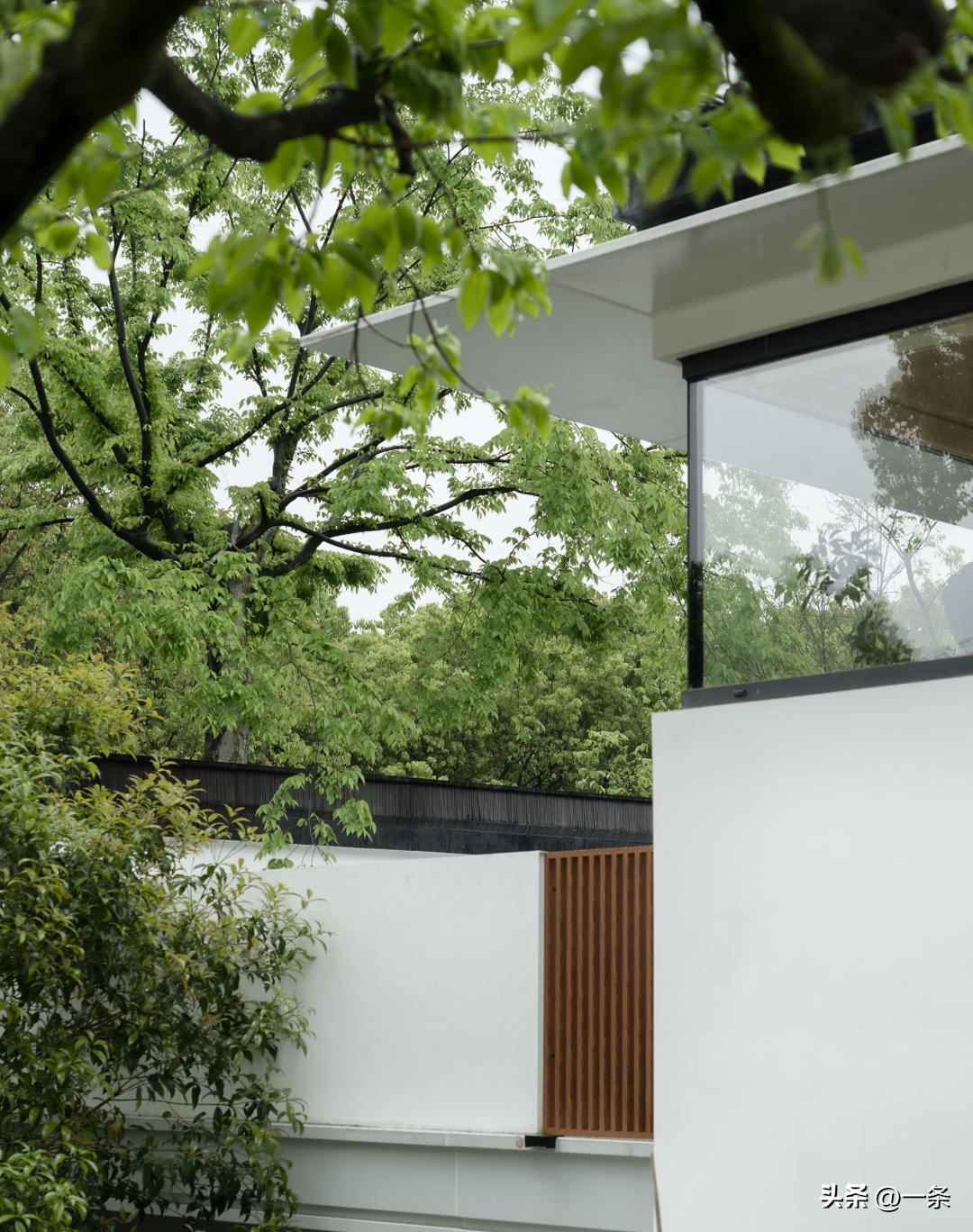 Vợ chồng giáo viên về quê xây nhà 1.000m² thành nơi chung sống 3 thế hệ: Mẹ chồng ban đầu phản đối cuối cùng lại hài lòng nhất- Ảnh 3.