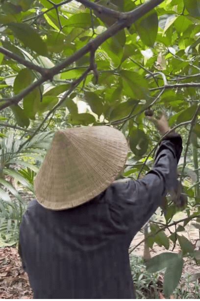 Tổng tài số khổ nhất Việt Nam là đây: Hết thời phải đi lột vỏ tôm, cạo mủ cao su để mưu sinh- Ảnh 4.