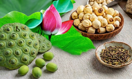 Hạt sen tươi và hạt sen khô, loại nào tốt hơn?