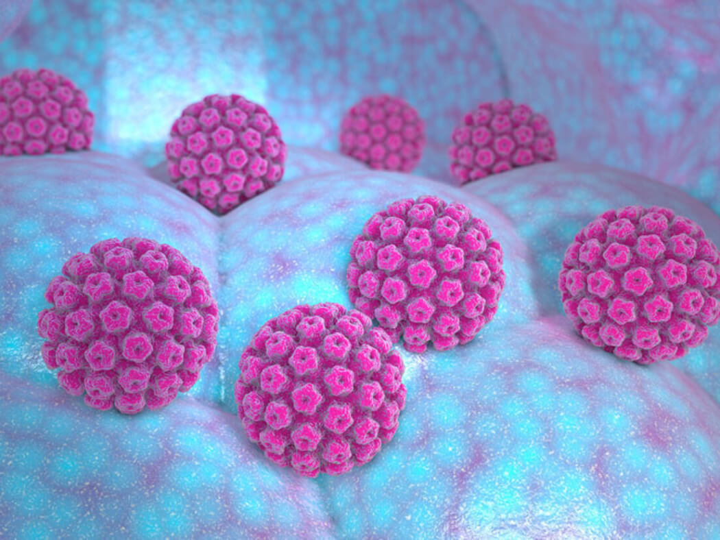 Loại virus âm thầm gây gánh nặng ung thư cho người Việt: Chớ có chủ quan - Ảnh 1.