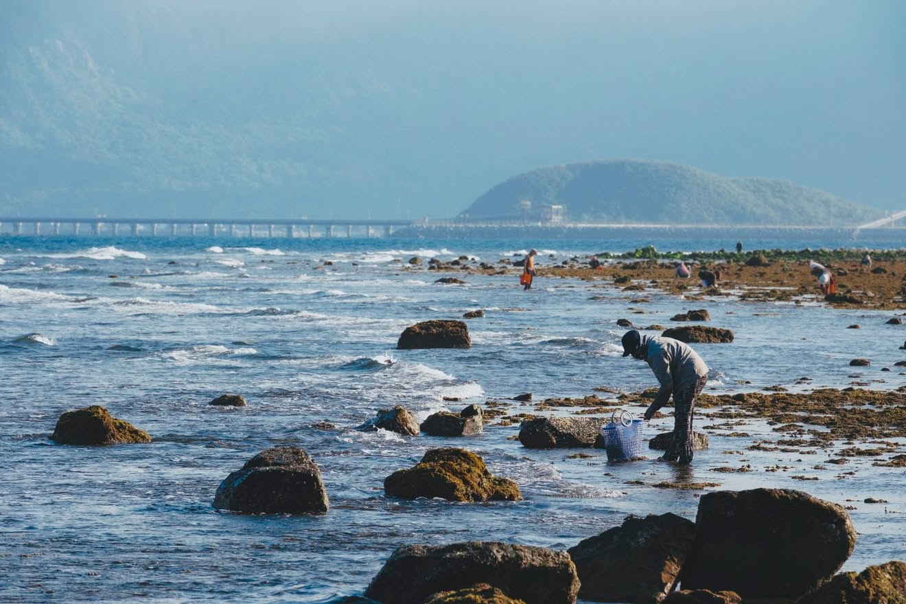 Đi mệt đến mức phải "lết" cát, bãi biển cách Nha Trang 49km này lại khiến khách Tây thảng thốt: "Đẹp nhất Việt Nam!"- Ảnh 1.