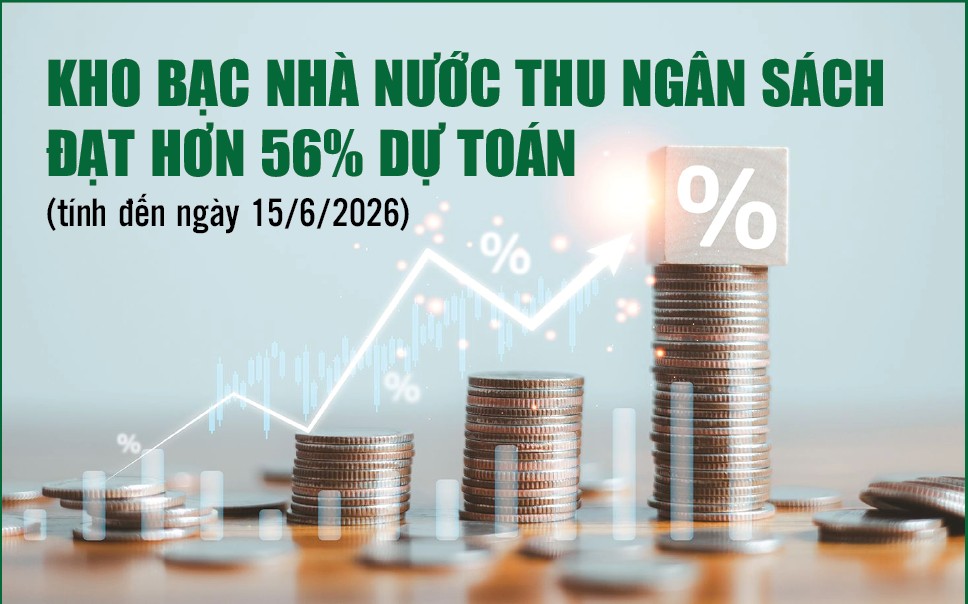 Infographics: Kho bạc Nhà nước thu ngân sách đạt 1.425.563 tỷ đồng